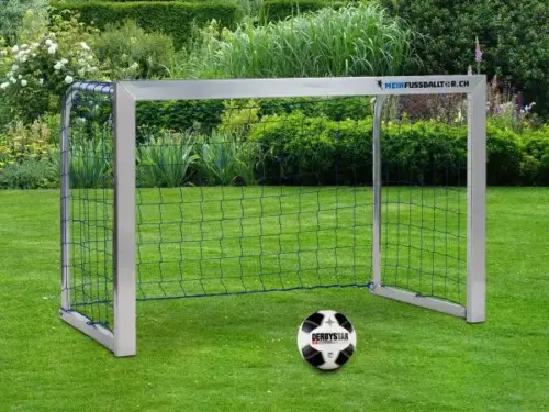 Rolandinos-Meinfussballtor-Medium-Gras