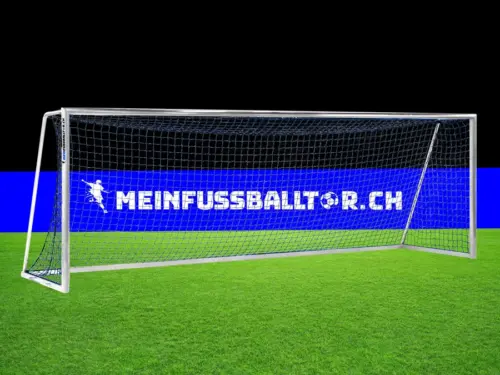 Tornetz für Fussballtor 750 x 250 cm | Blau | Netzbügel - meinfussballtor.ch