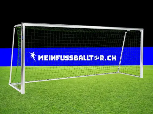 Tornetz für Fussballtor 500 x 200 cm - Grün