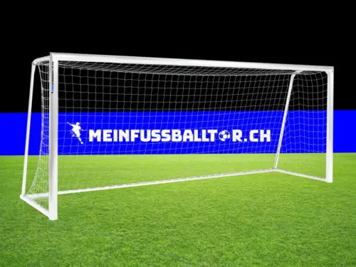 Tornetz für Fussballtor 500 x 200 cm - Weiss