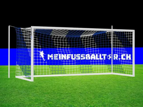 Tornetz Fussballtor BLAU-WEISS - 750 x 250 cm / 200 x 200 cm