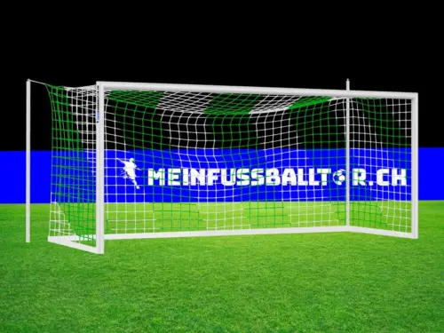 Tornetz Fussballtor GRÜN-WEISS - 750 x 250 cm / 200 x 200 cm