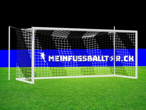 Tornetz Fussballtor SCHWARZ-WEISS - 732 x 244 cm - Meinfussballtor.ch
